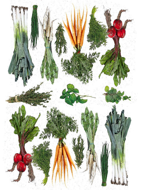 vegetable, 18 x 24 inches kitchen towel