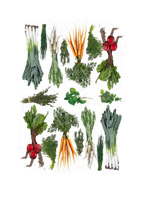 vegetable, 18 x 24 inches kitchen towel