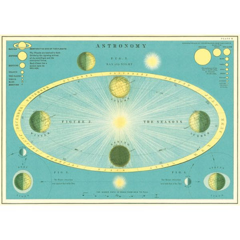 Cavallini Astronomy Poster