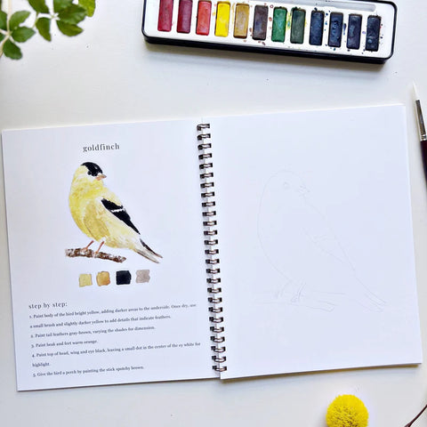 Birds Watercolor Workbook, 7"x9", Multi